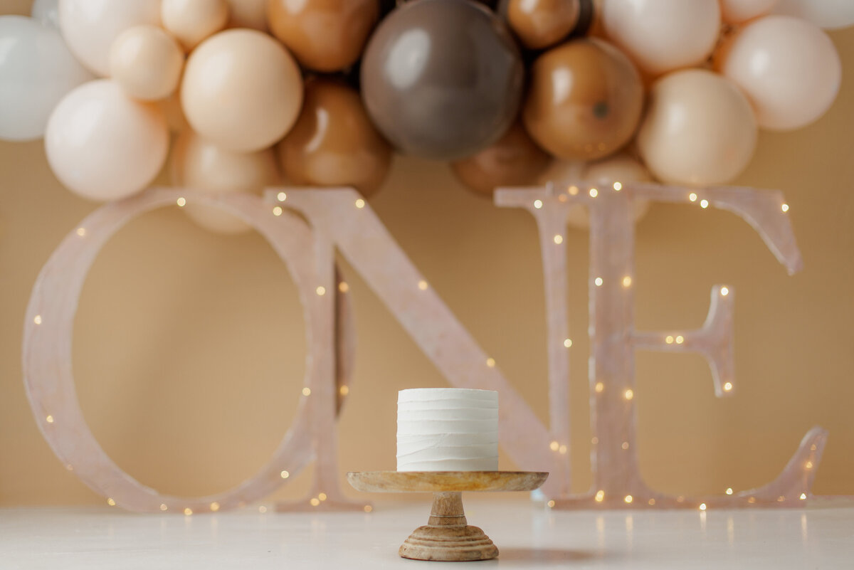Huntsville AL Cake Smash Photographer