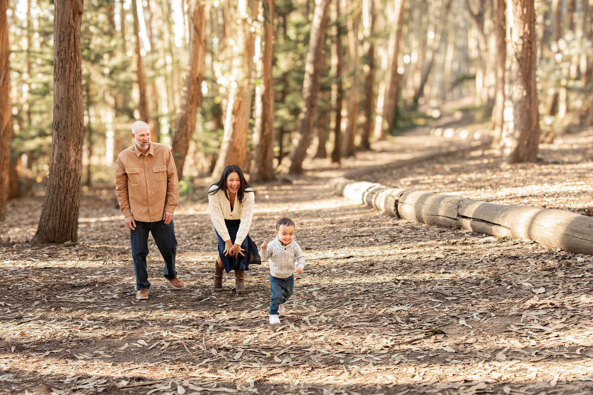 SanFrancisco_FamilyPhotography_AndyGoldsworthy_Woodline-5860