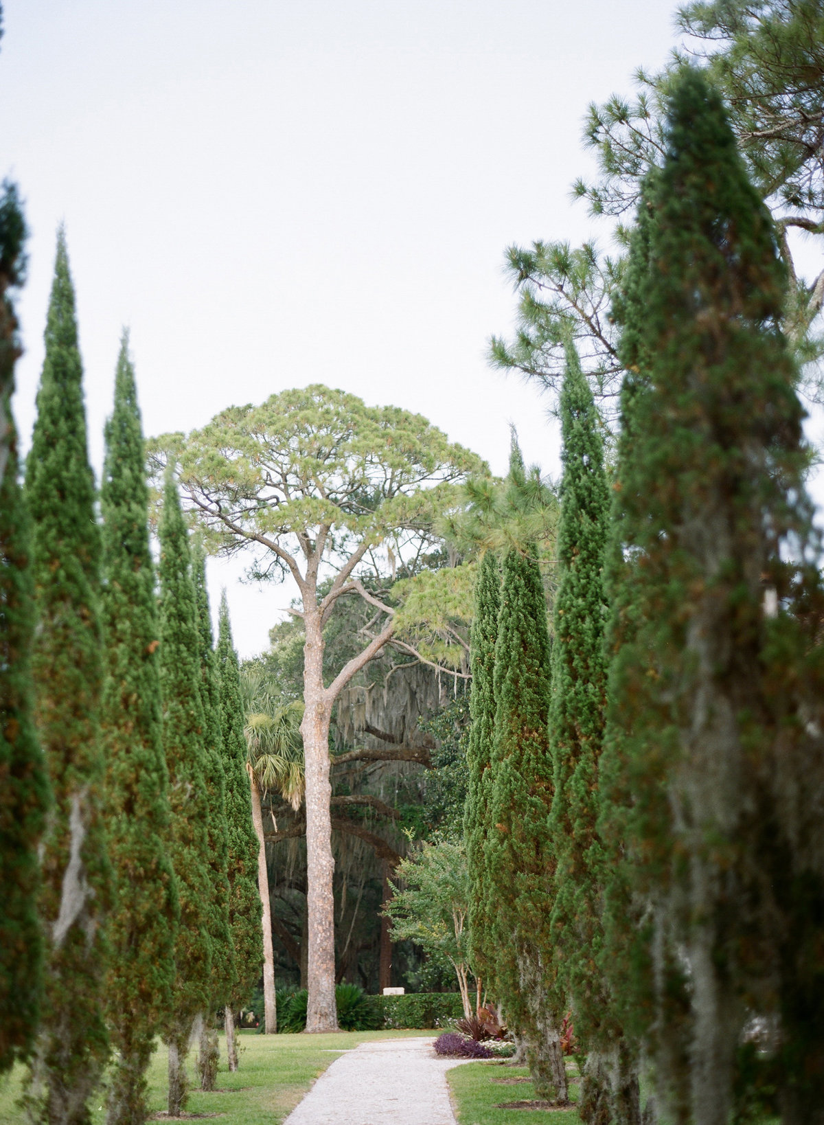 MelissaSchollaert-JekyllIsland-19