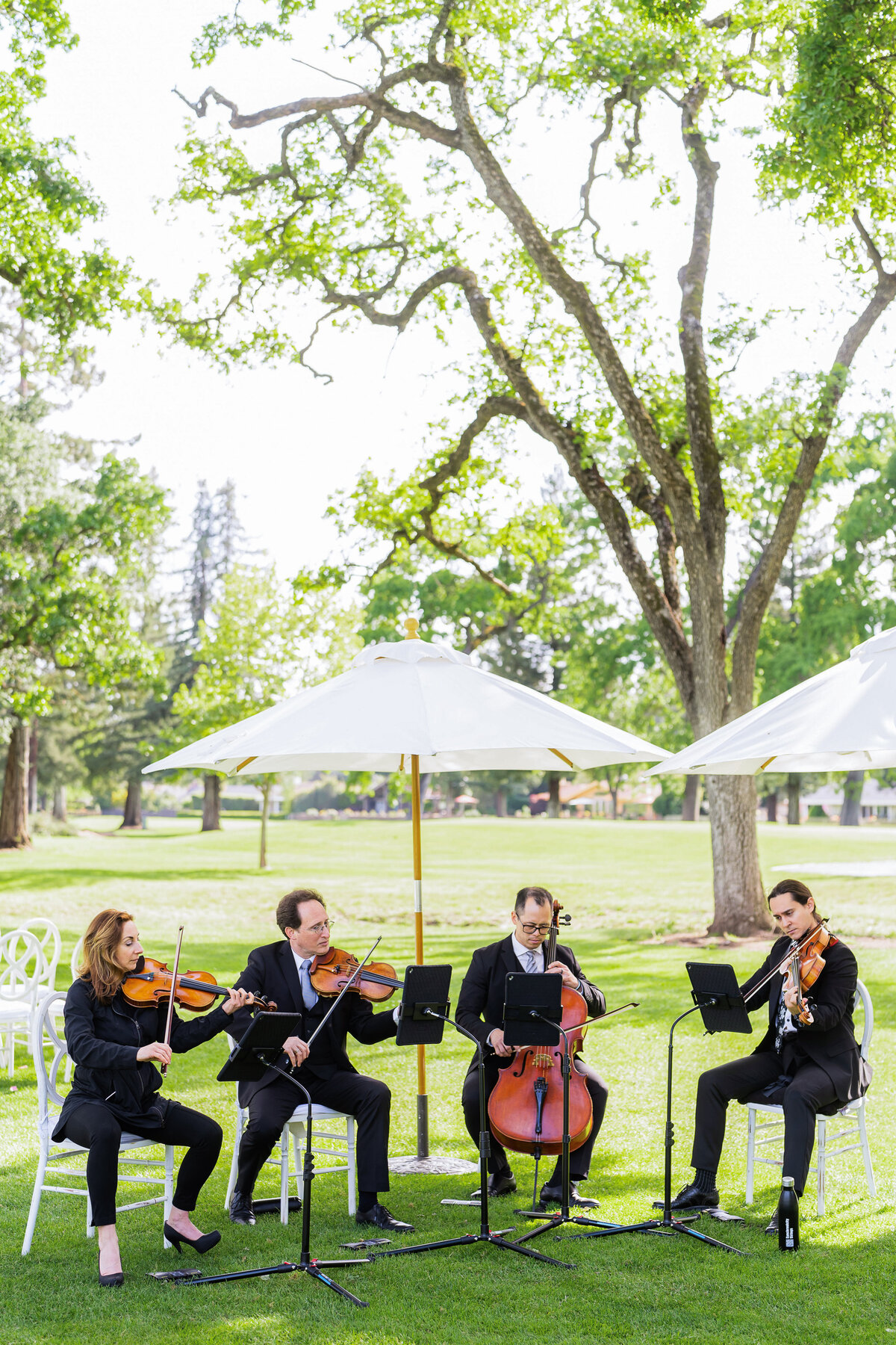 Gallery  - Napa Valley - Danielle & Gianluca_danielle_gianluca_napa_wedding_photos-105