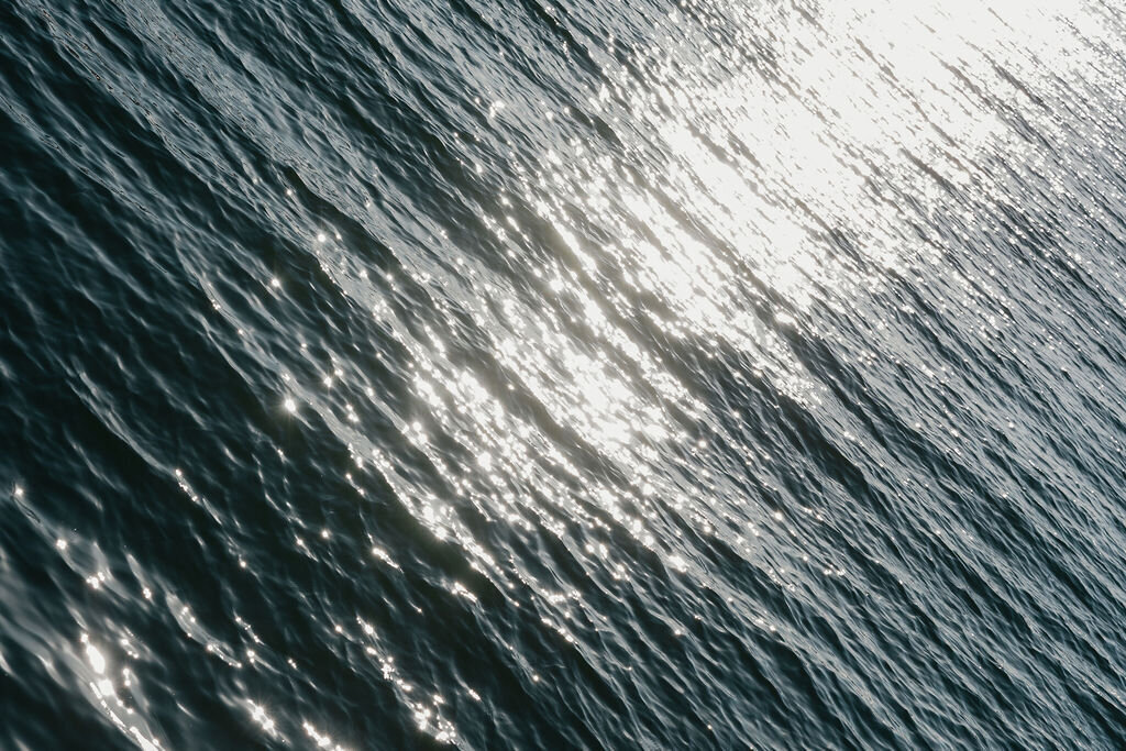 Emilieeleanorphotography-62763