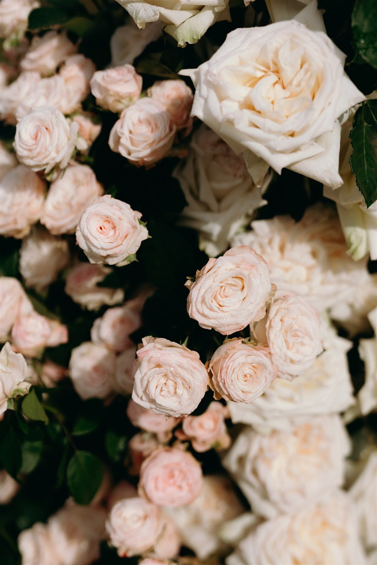 4. Rose & Brent Wedding-42