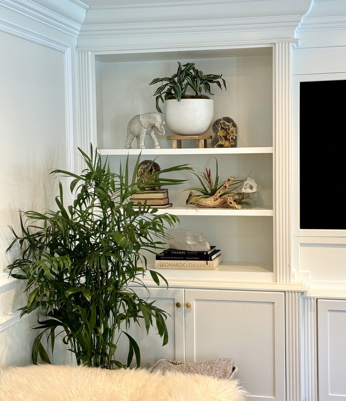 open shelves in living room
