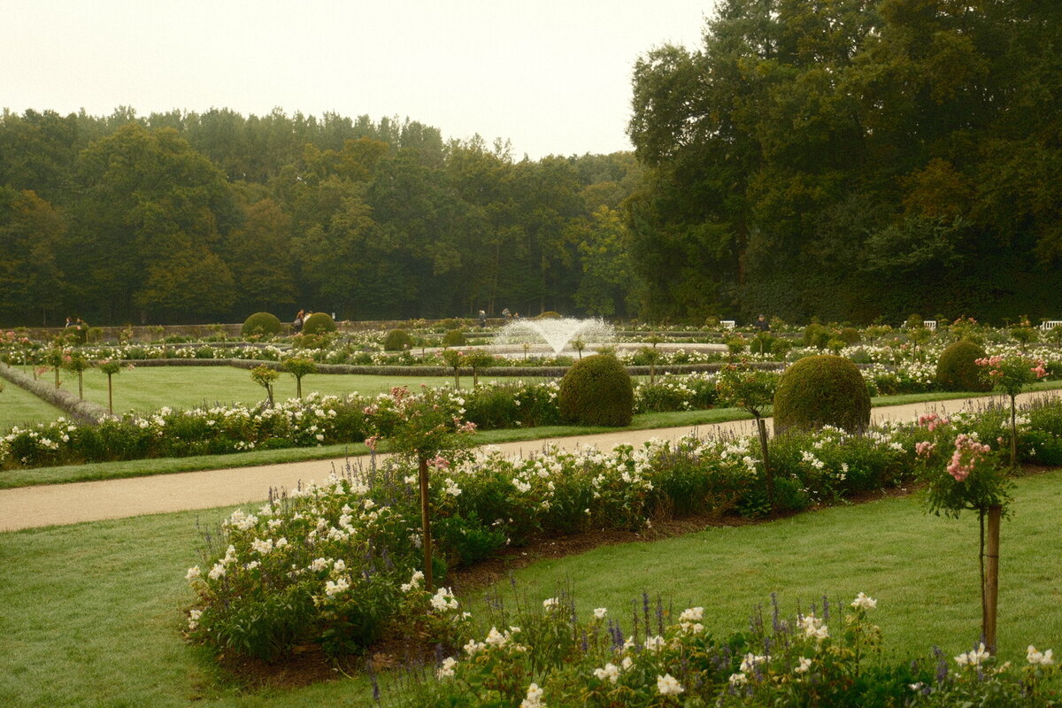 DSCF0927