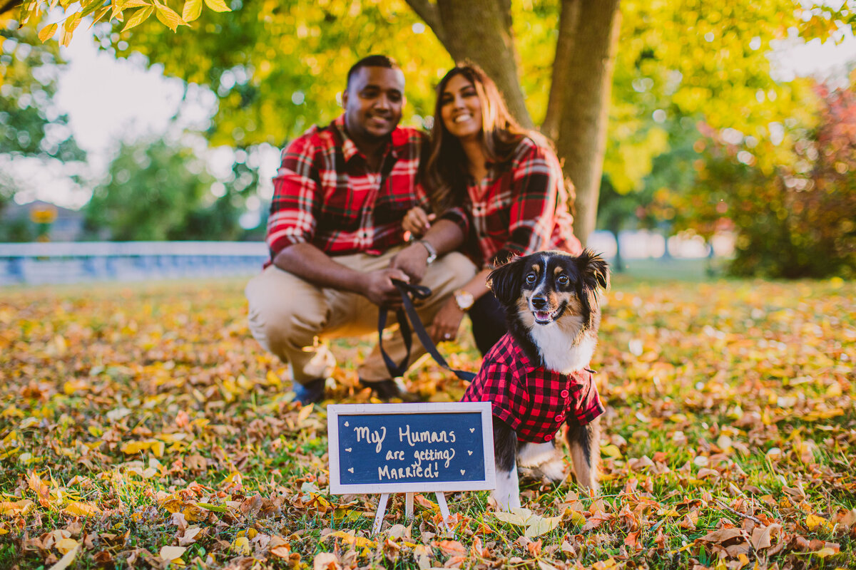 A couple crouching down in plaid clothing in the fall standing behind a sign that announces their engagement next to their dog