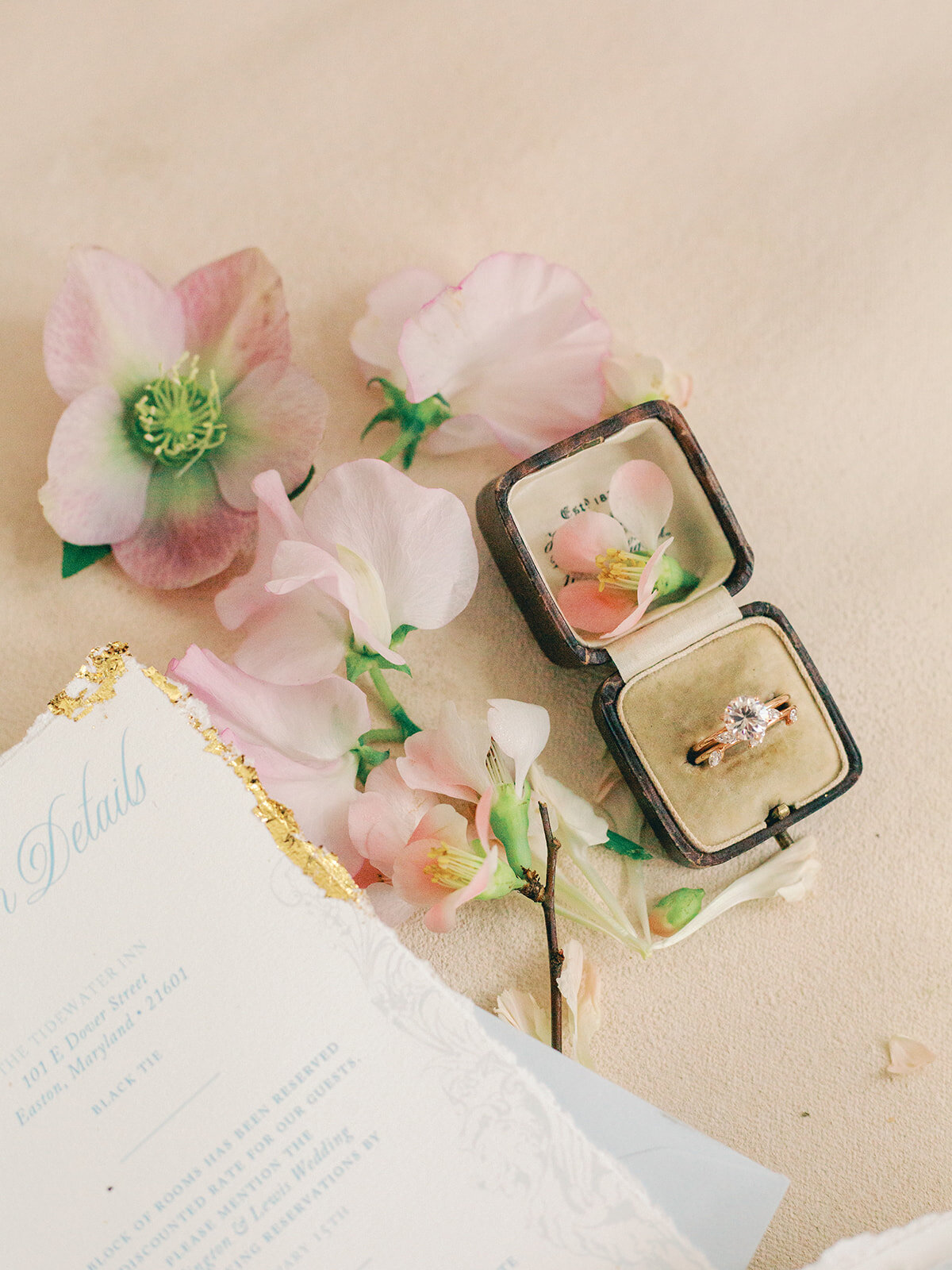 52C92AC7-E169-4912-B728-C95EC2D577AE