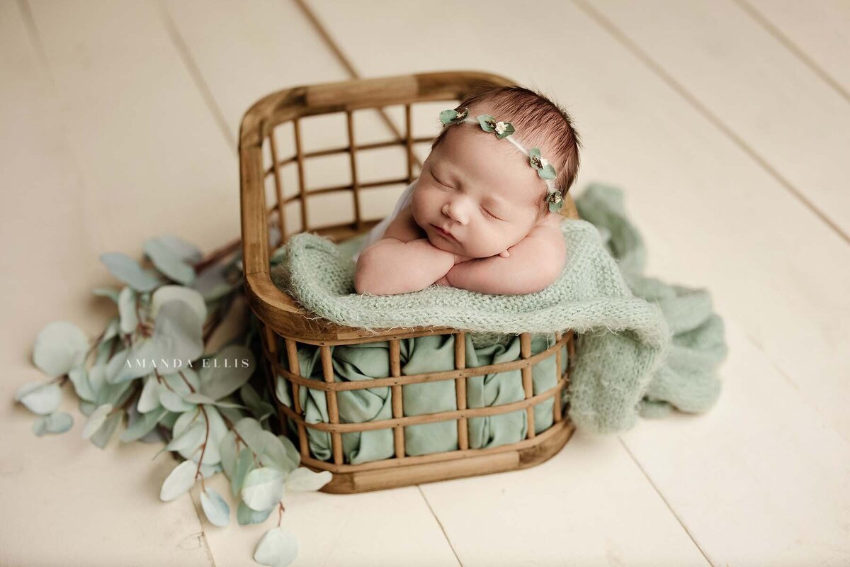 Artistic portrait of baby in basket with flower crown