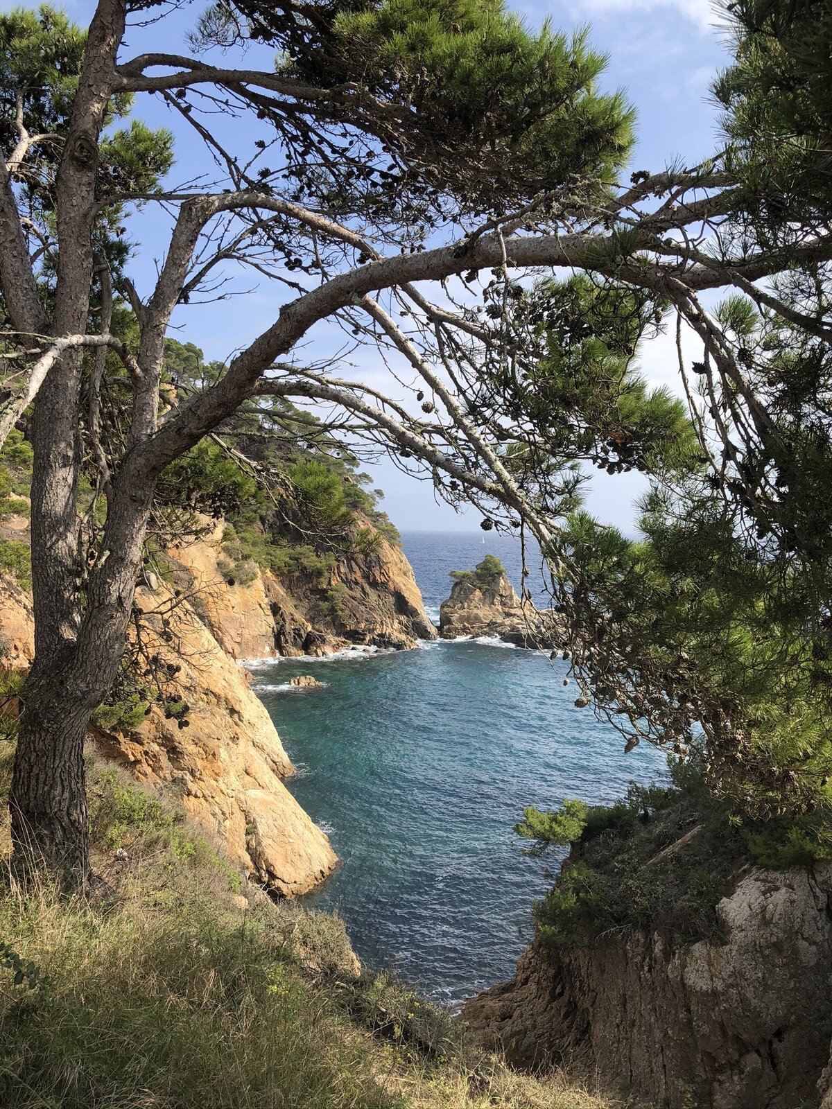 Spain yoga