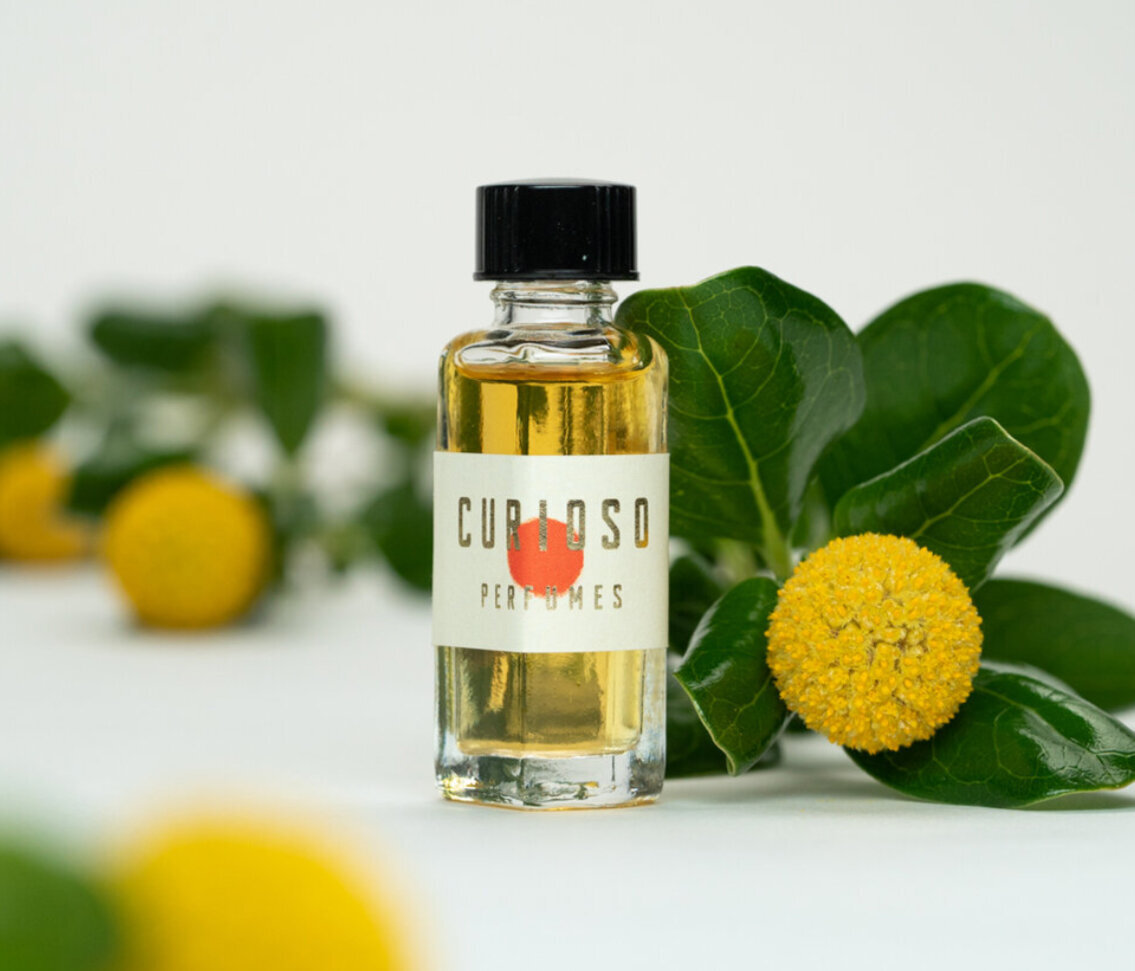curioso-perfume-packaging