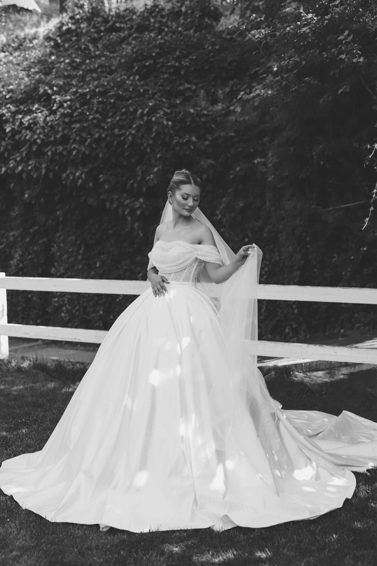 pexels-hatice-796619215-27359445