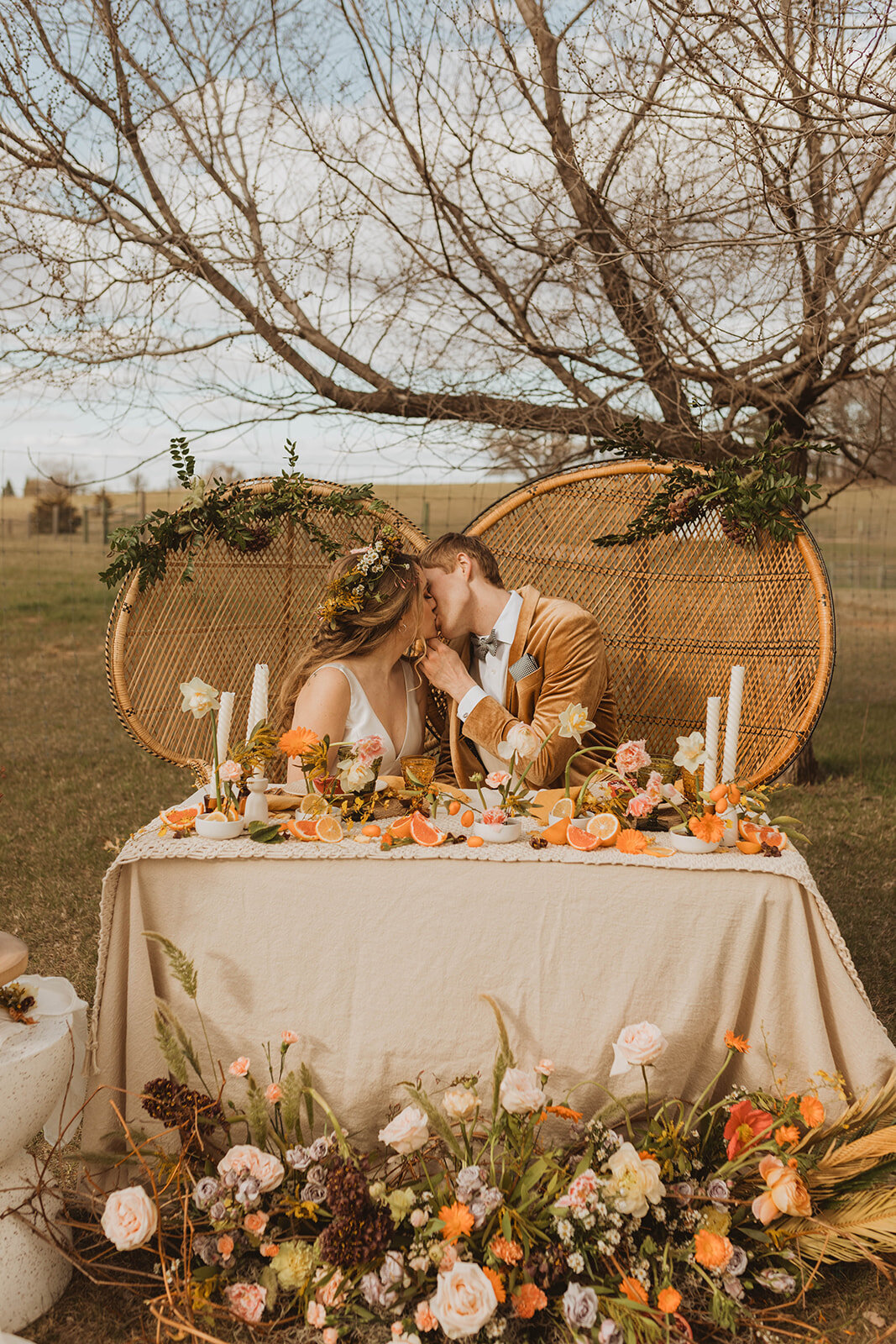 Alpaca Styled Shoot-261