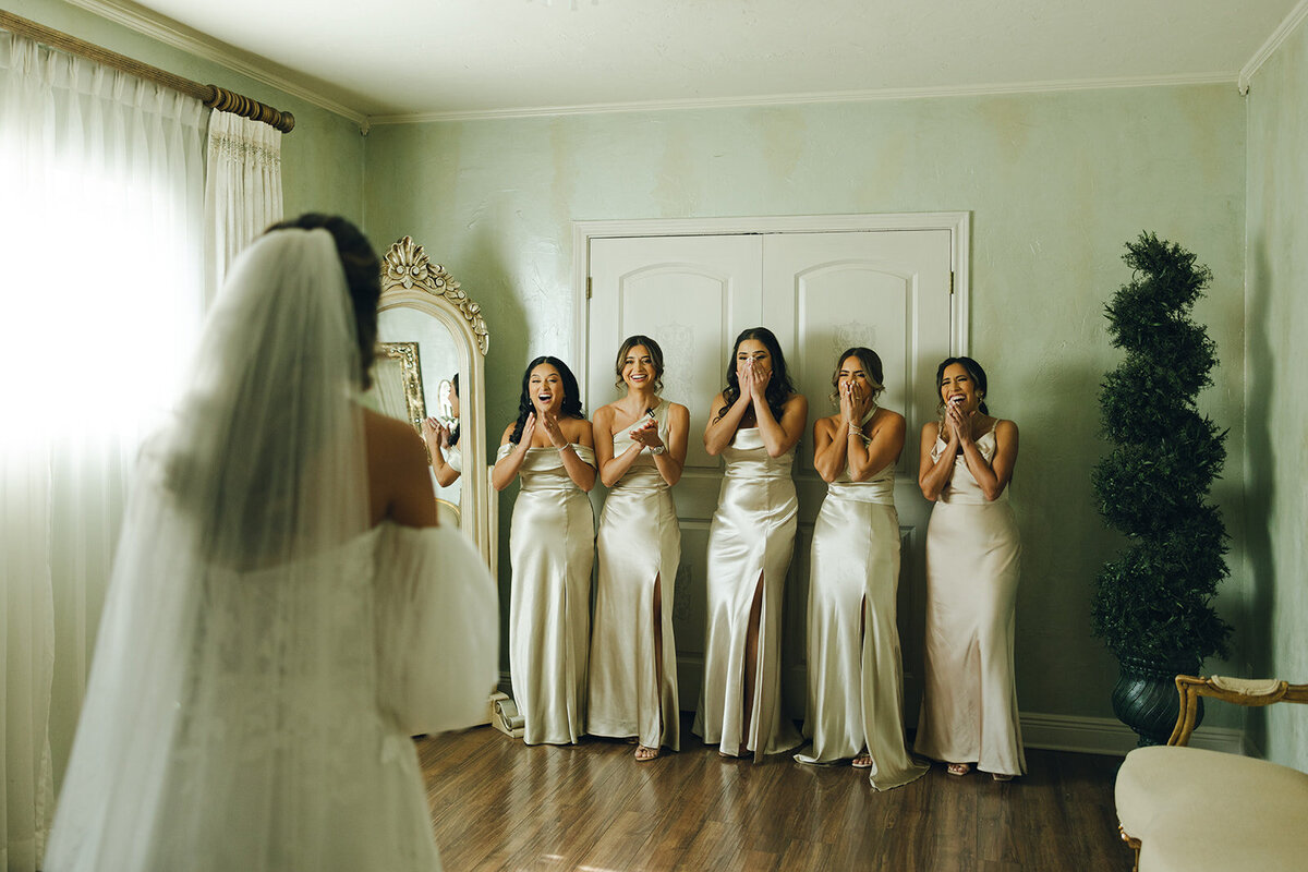 Houston Texas Wedding Photographer 9791