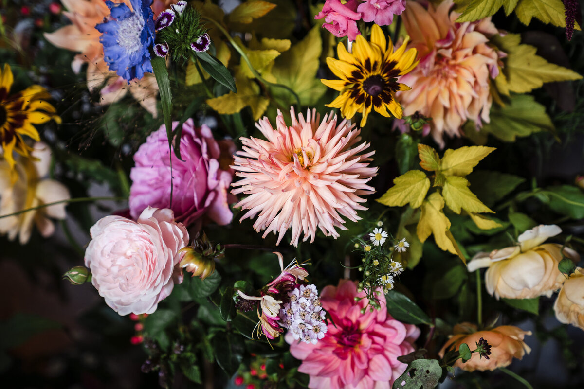 colourful-davenport-house-wedding-photography-332