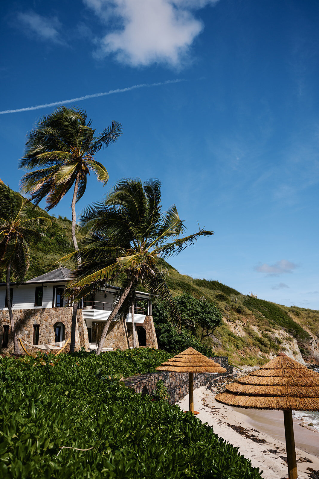 Peter Island-447
