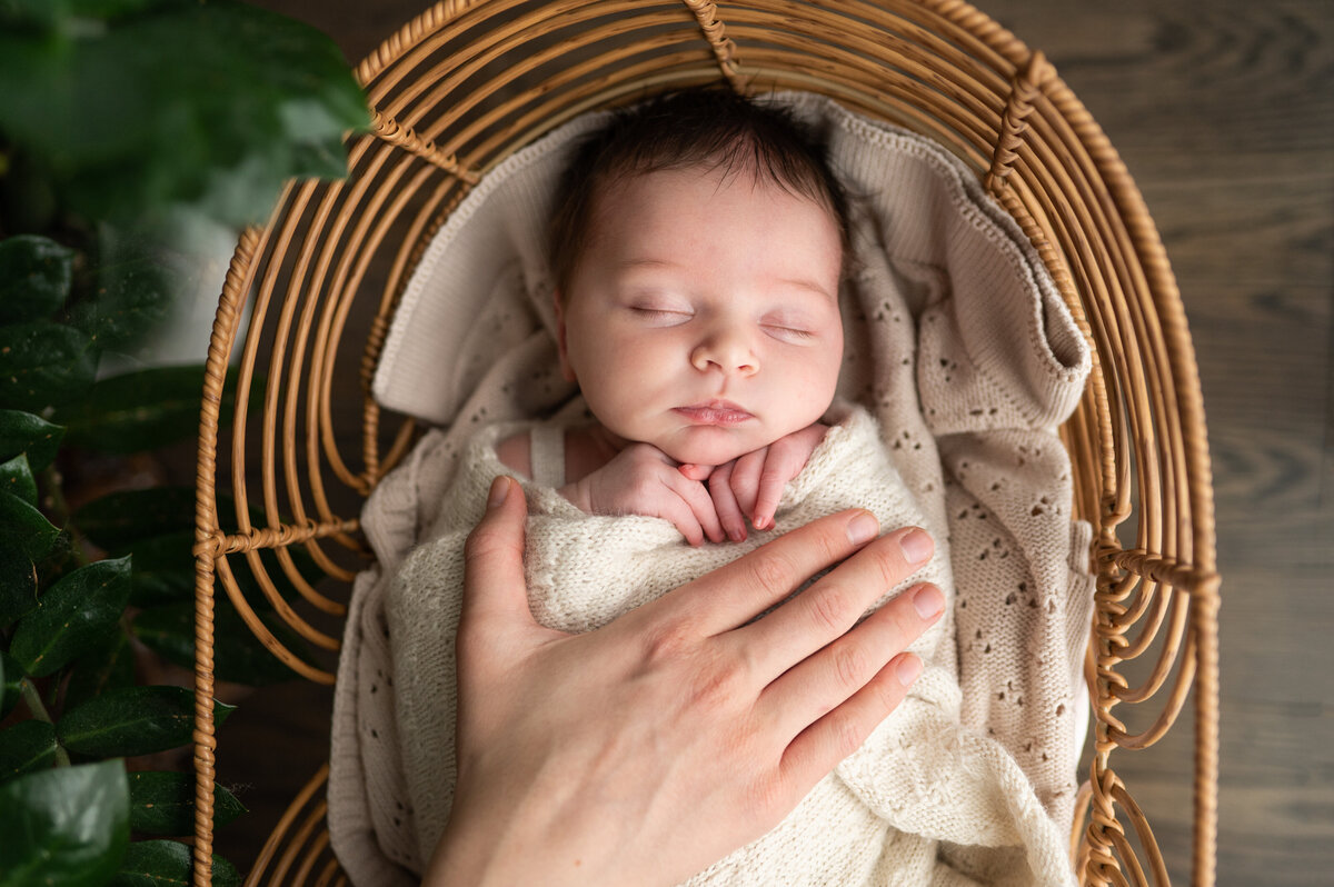 newborn baby asleep in a basket
