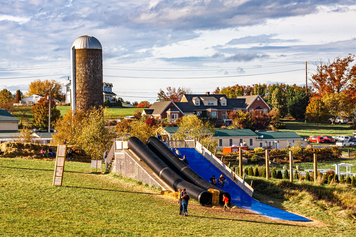 events_SinklandFarms_pumpkinpatch-1784