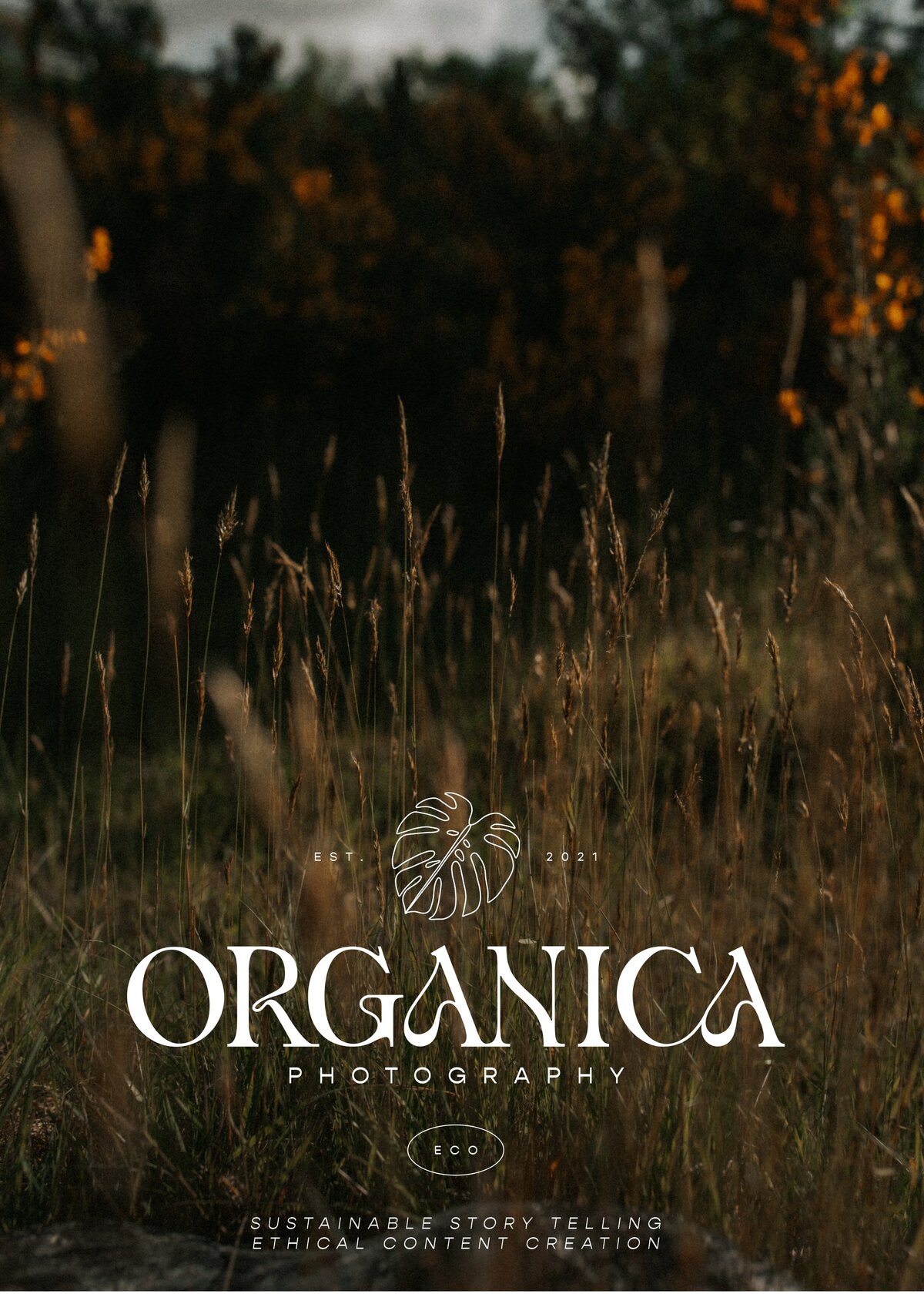 Landscape-photography-Organica(1)
