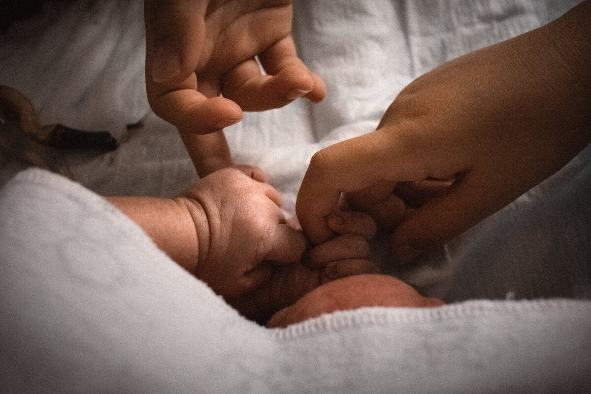 siblings holding newborn baby hand