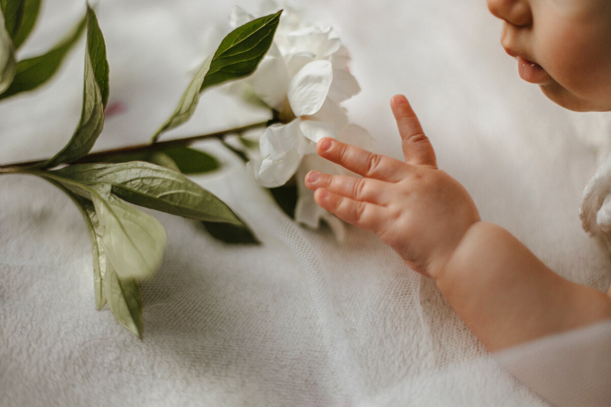 crop-view-caucasian-cute-baby-child-hand-face-with-tender-white-peony-lying-white-blanket
