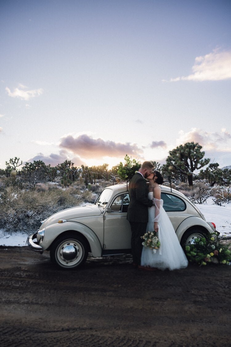 Alberta elopement and micro-wedding galleries by Allie Knulls Photography