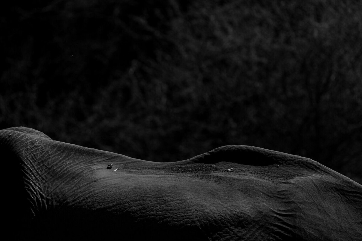 luxury-vacation-photographer-kirsten-lewis-arusha-tanzania050