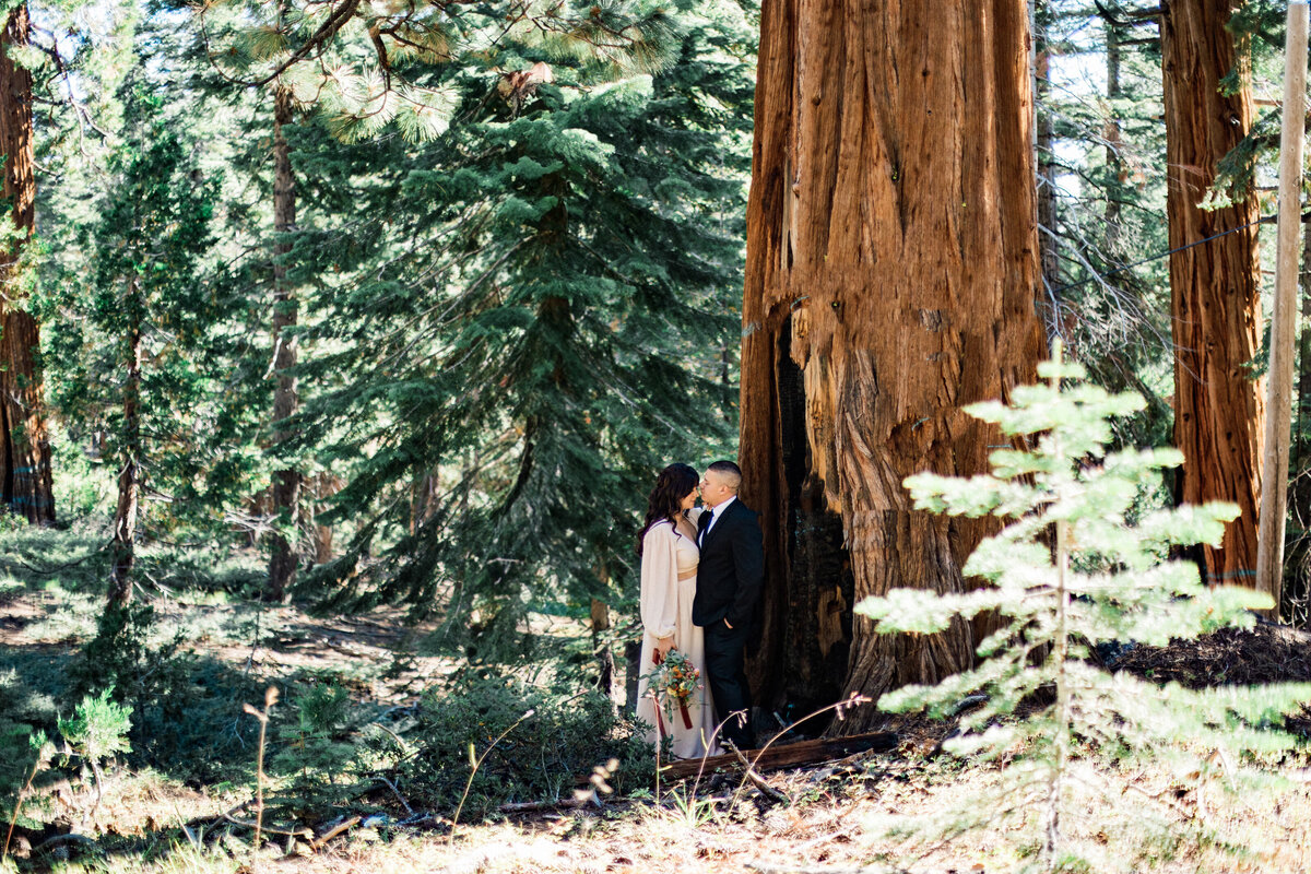 Lake Tahoe Elopement - 1