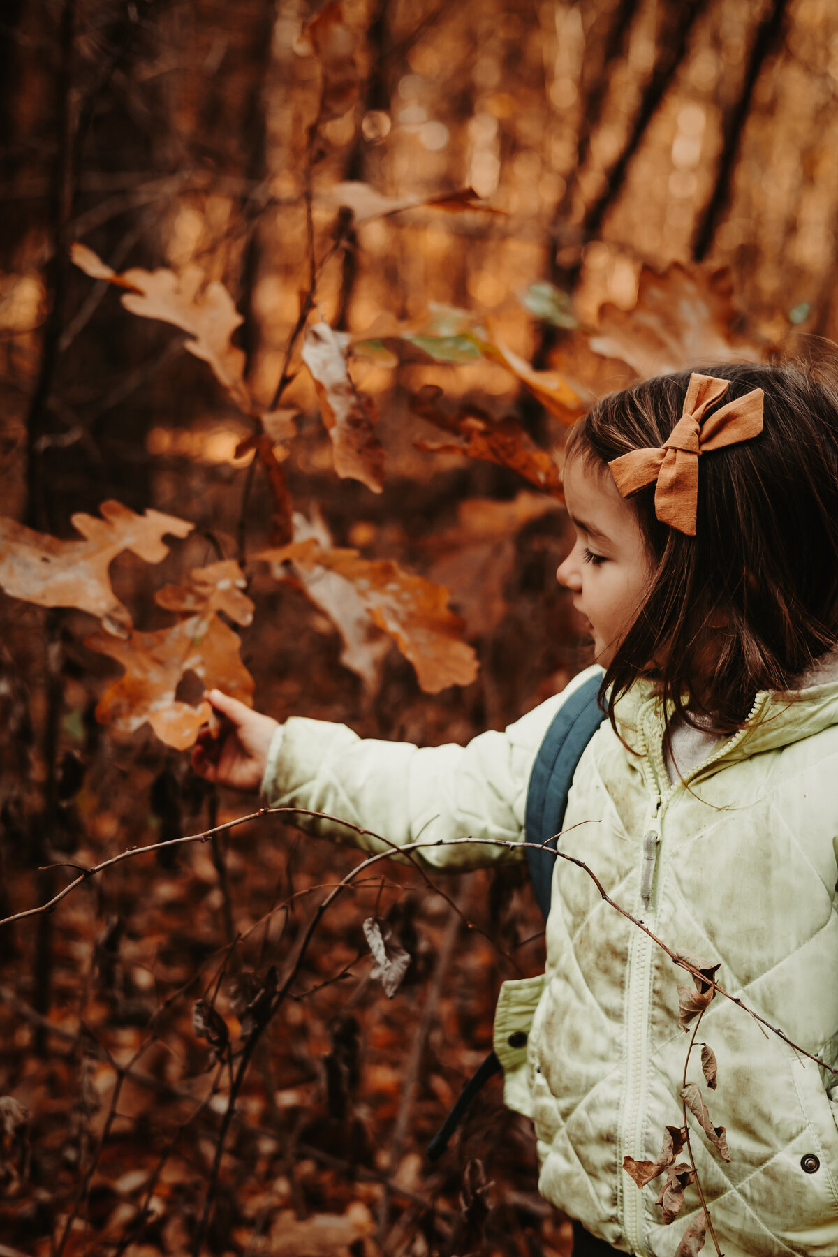 Nature photography - Amanda Nicholle Photography