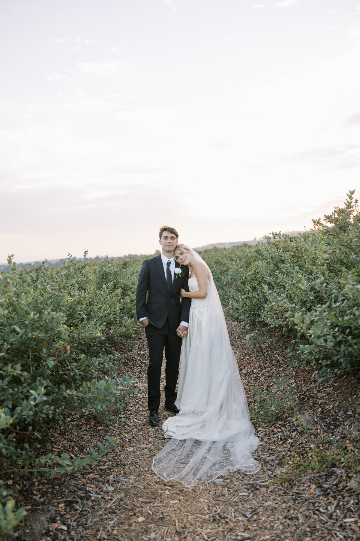 taylor-theo-preview-olive-and-oath-153
