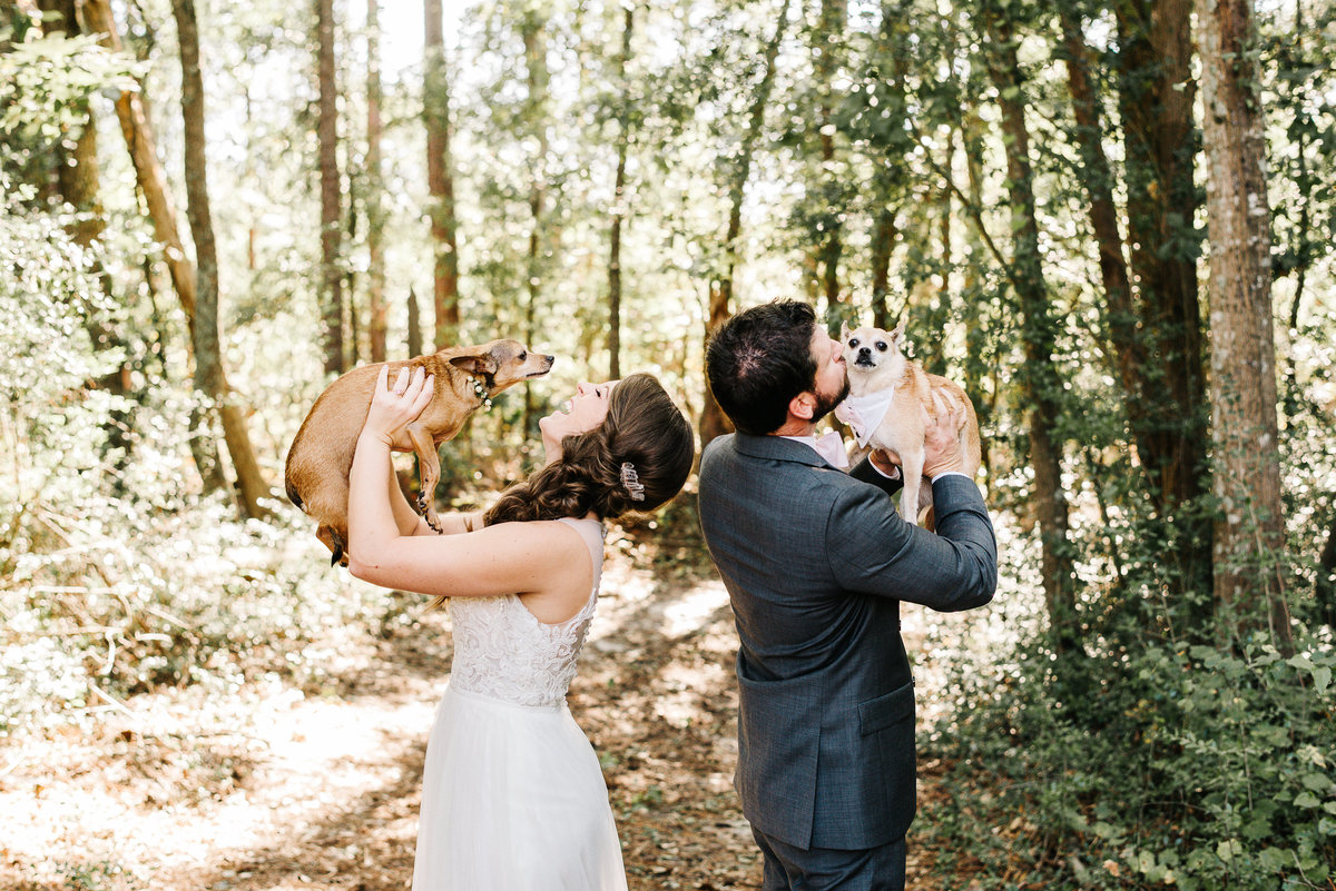 Couple with dogs at wedding at windsor manor in augusta ga