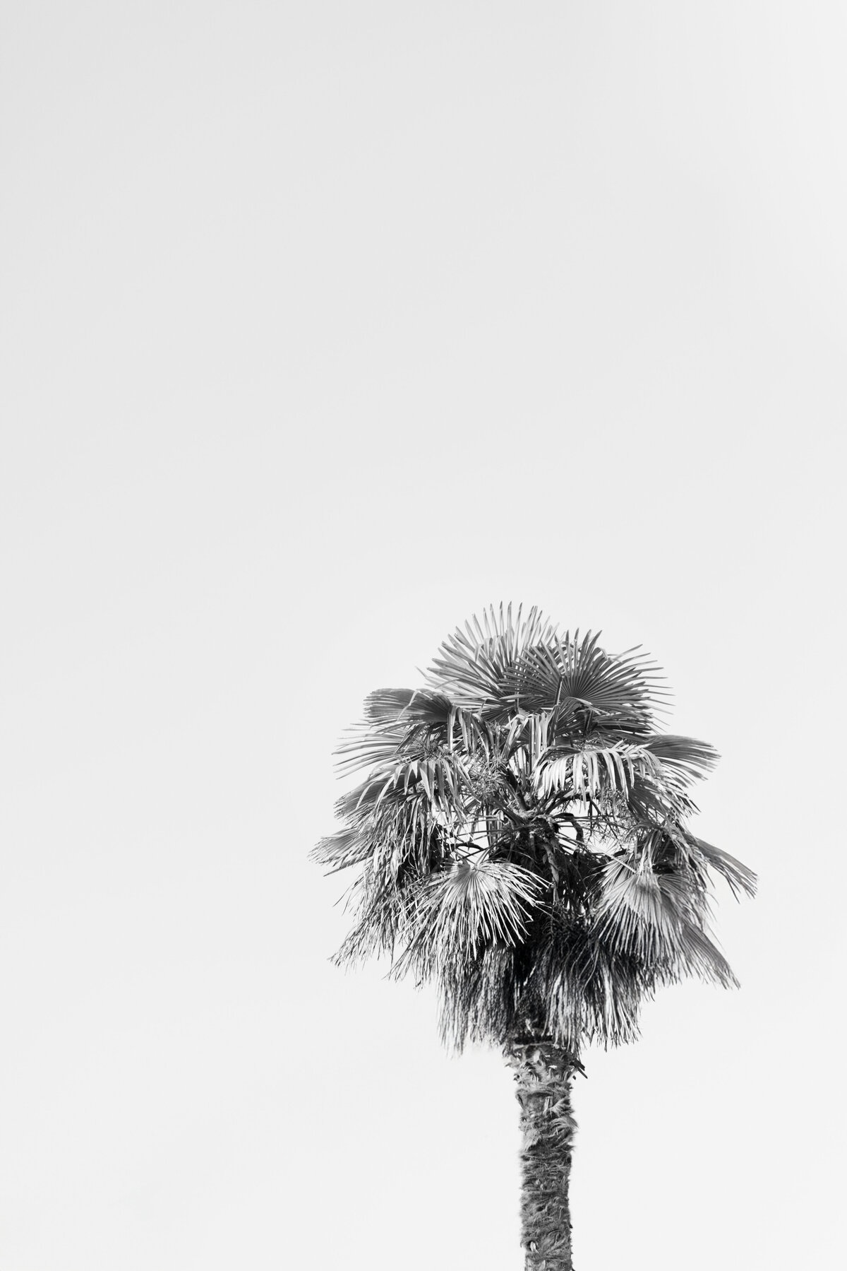ANNABEE Photography -1