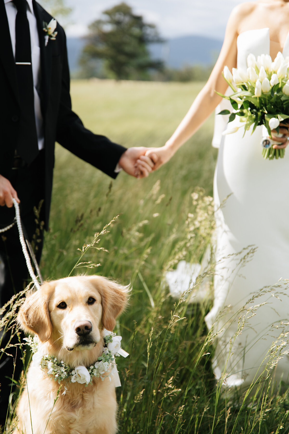 Virginia Wedding Photographer - Barn at Edgewood - Standardsville Virginia Wedding (10 of 24)