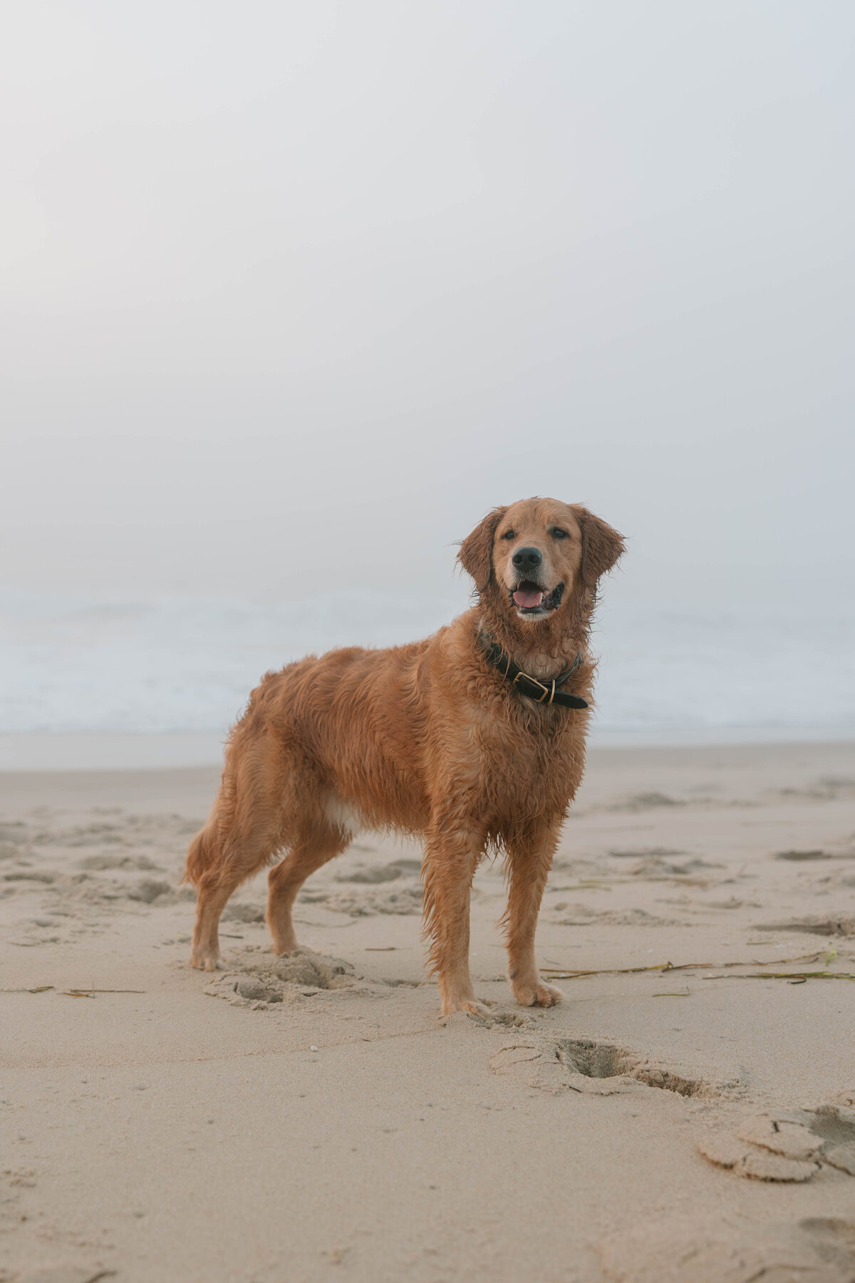 CathrynFinkPhotography-4