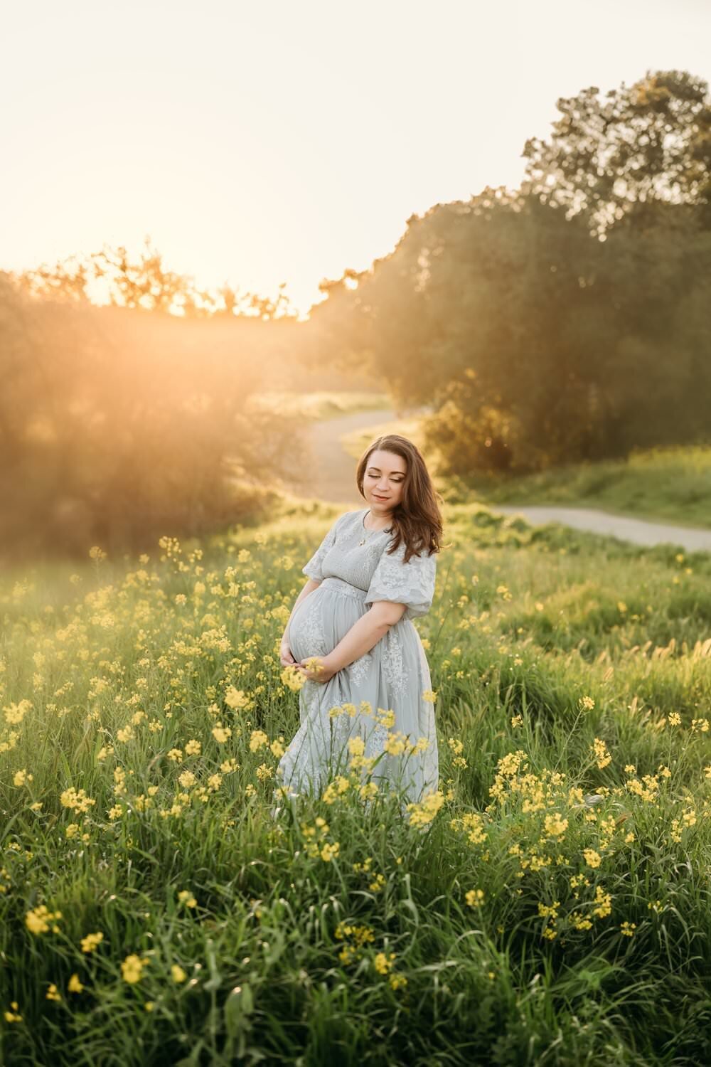 yellow-flowers-maternity-field