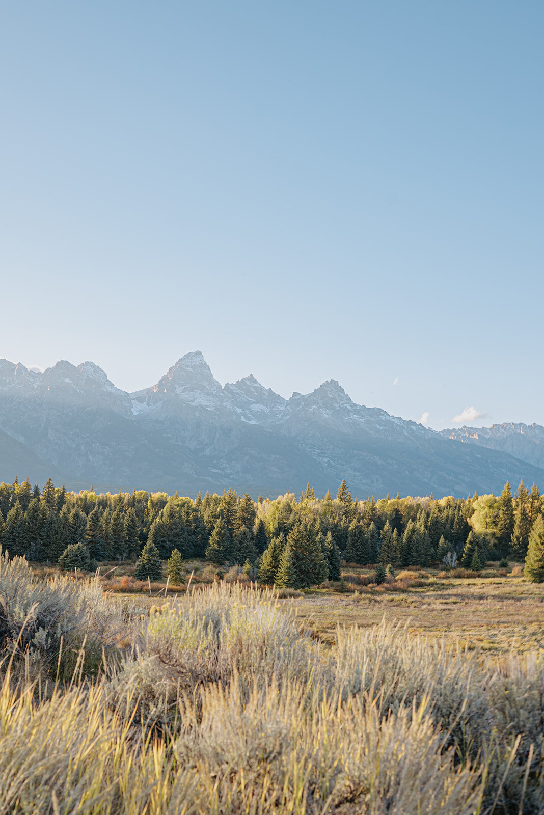 Jackson-Hole-Wedding- Mormon-Row-140