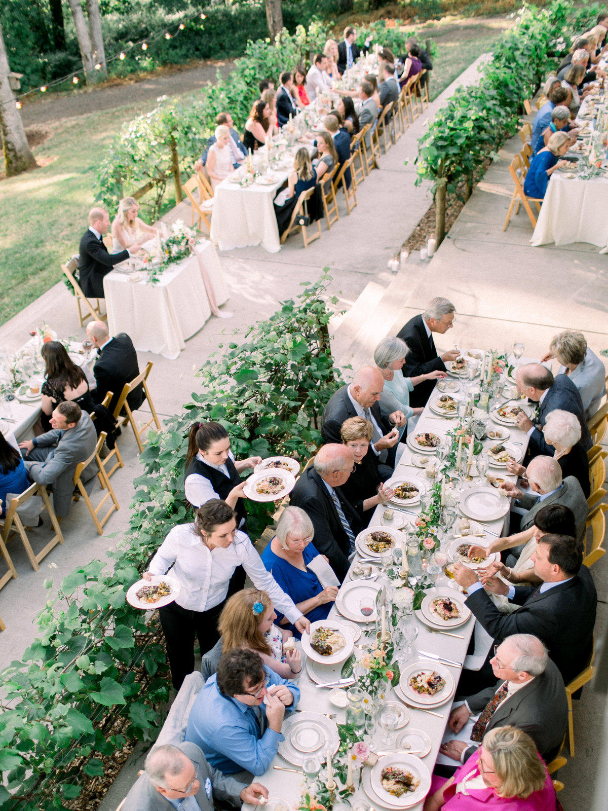 guests dining at a wedding