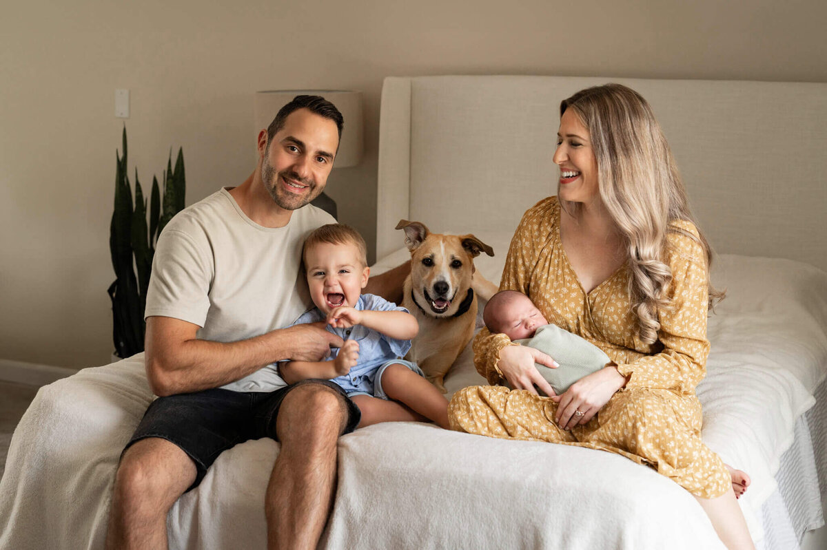 family is laughing on a bed while posing for newborn photos
