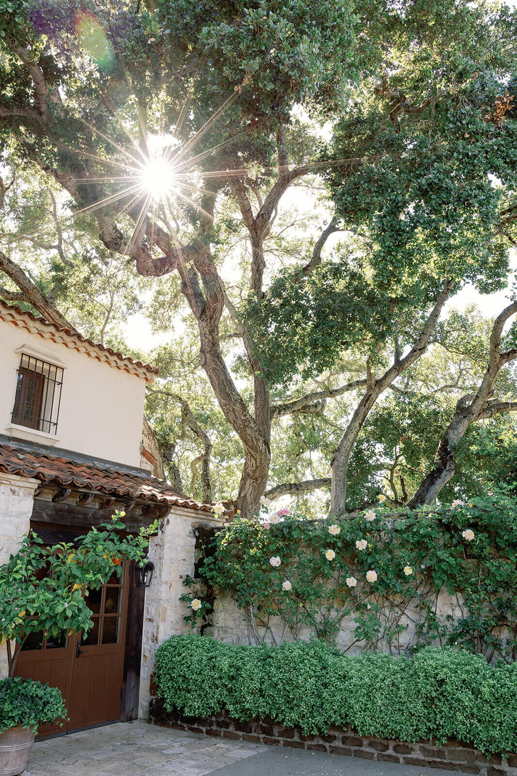 holman- ranch-carmel-valley-california-wedding-chelsea-brooke-events (134)