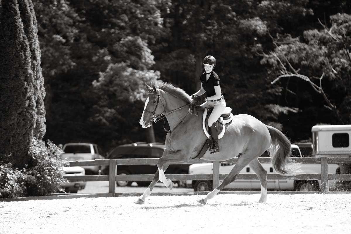 Windwood_Equestrian_riding_lessons_jumper_hunter_Horse_Birmingham220