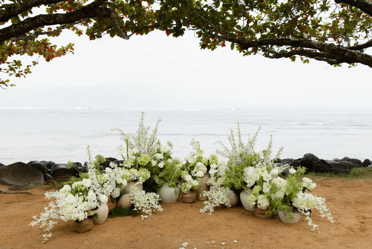 Screenshot 2025-11-25 at 12.14.32 PM