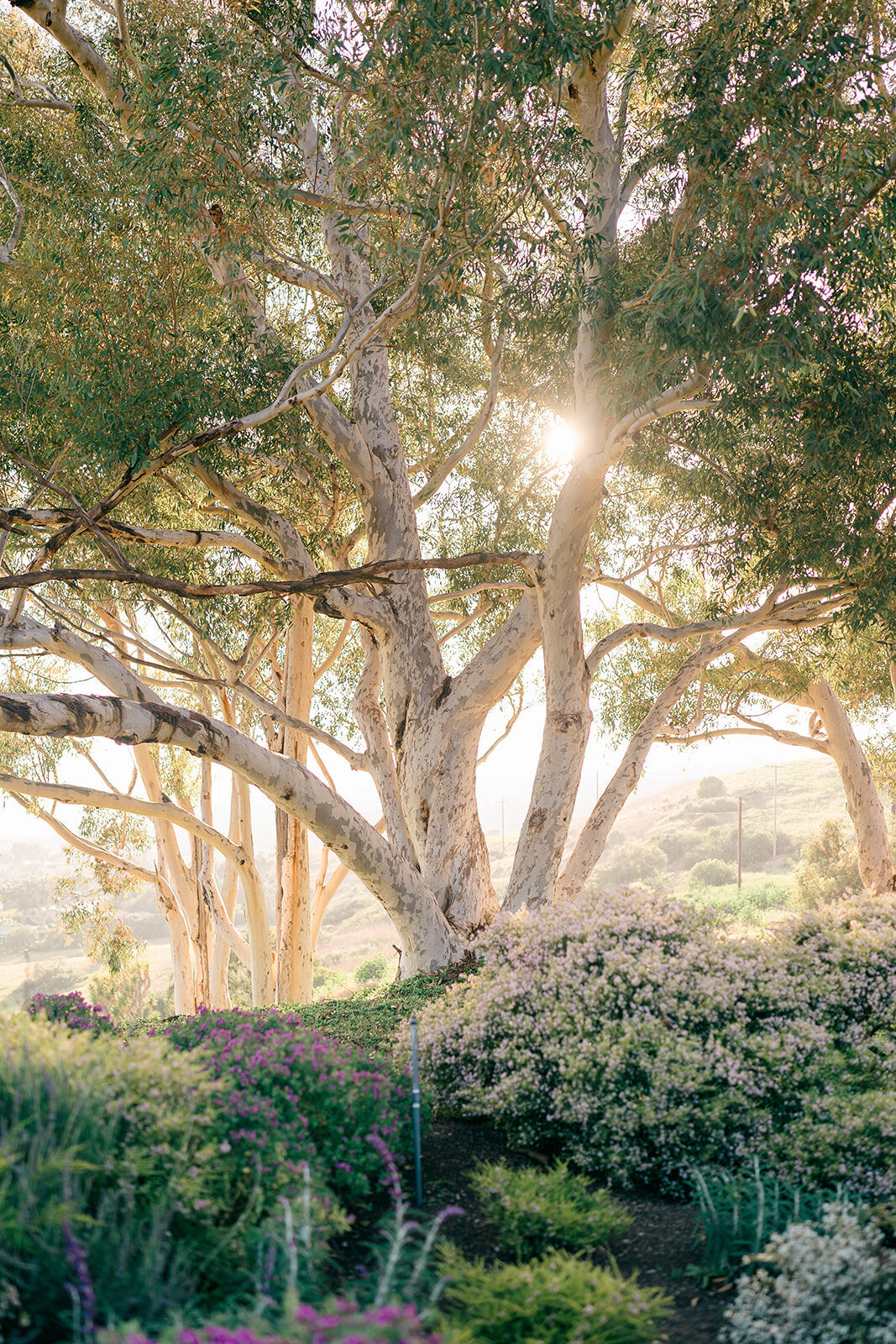 catalina-view-palos-verdes-wedding-planner132