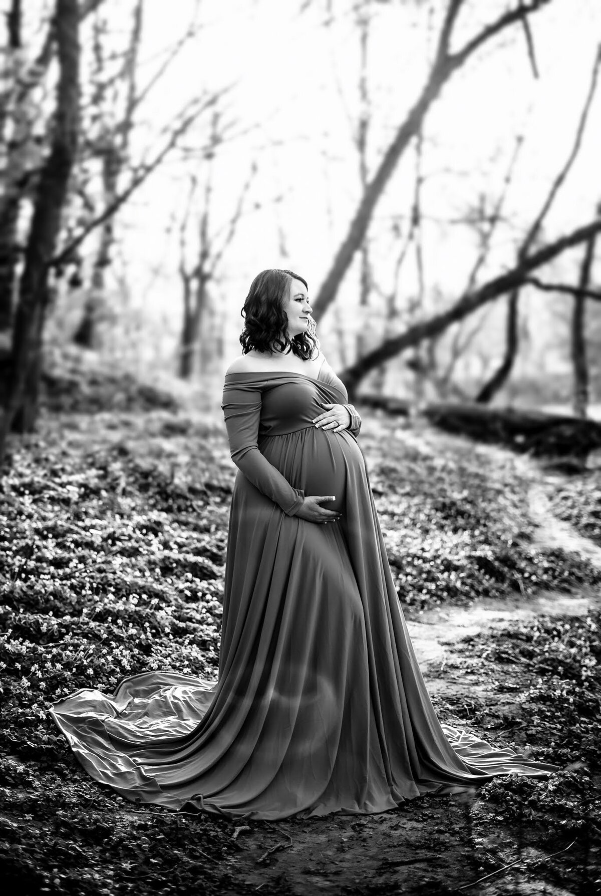 dayton maternity photographer, maternity photographer dayton, maternity photos, maternity photography, dayton maternity photos, maternity sessions, maternity photographer, maternity dayton, maternity photos