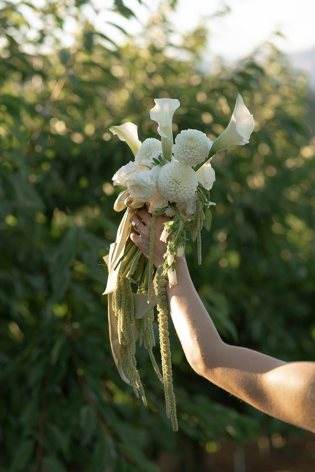 E + P - Siobhan Lynette Photography-0565