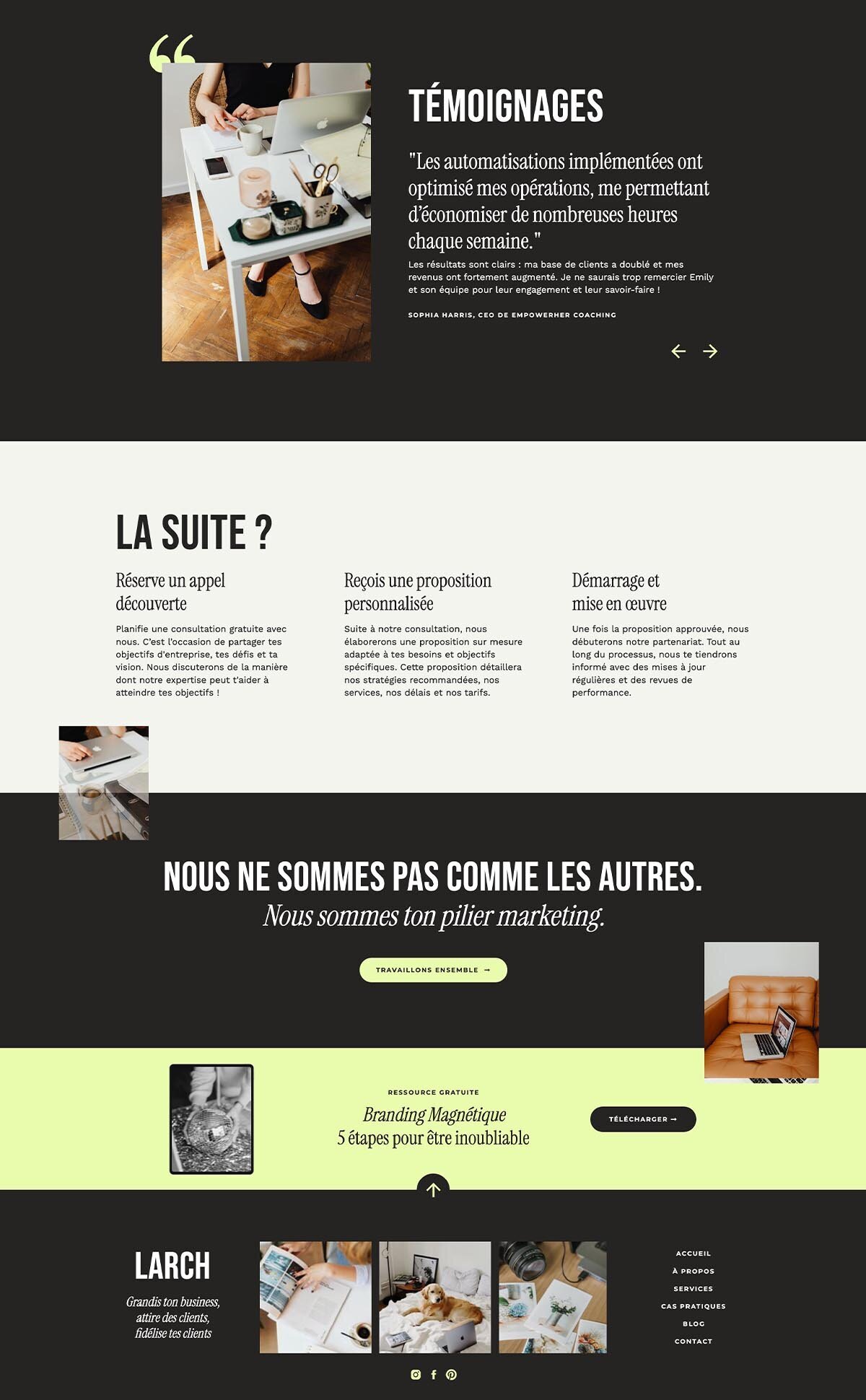 larch-aspen-creative-template-showit-1