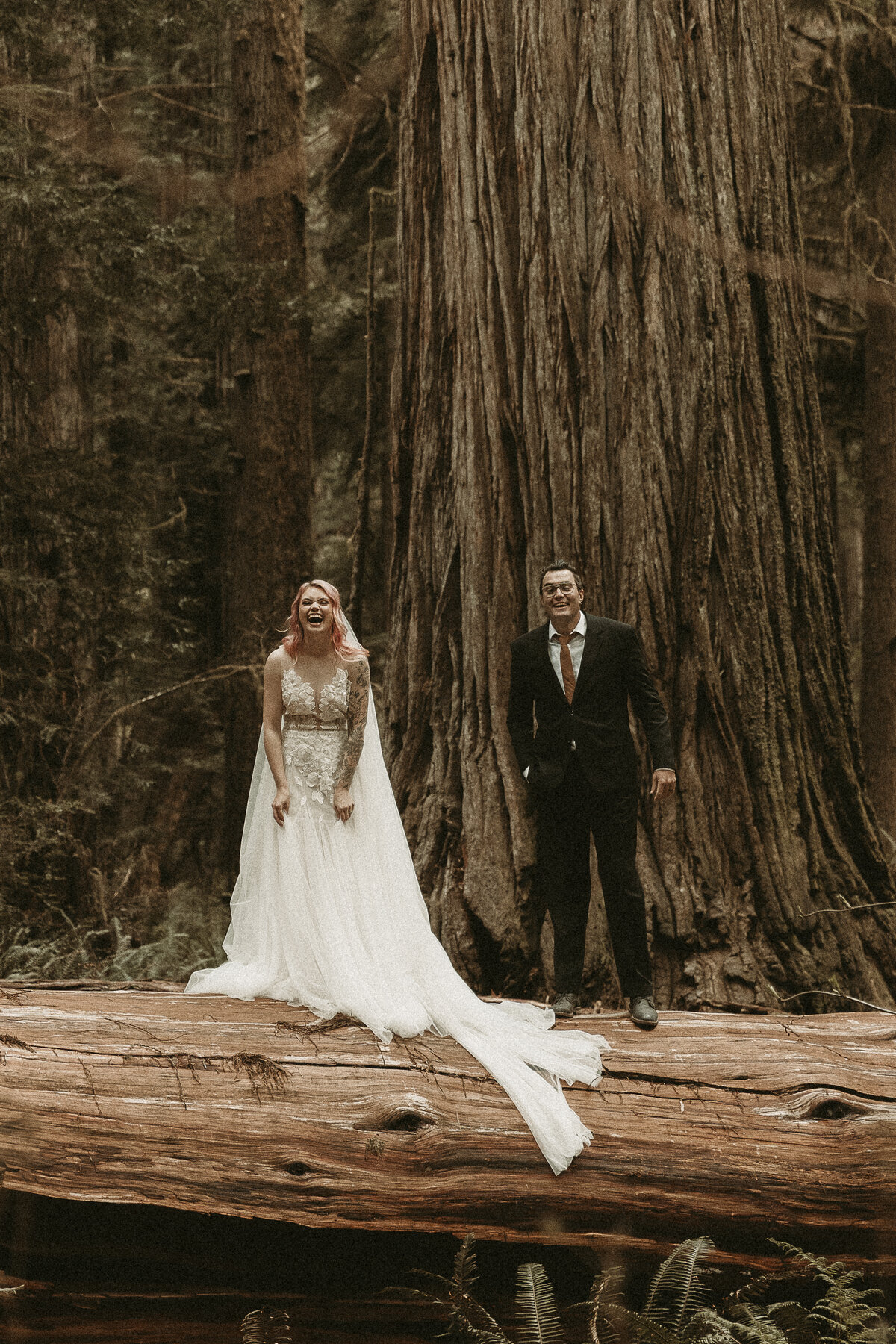 AbbyReePhotography-RedwoodsElopement-2