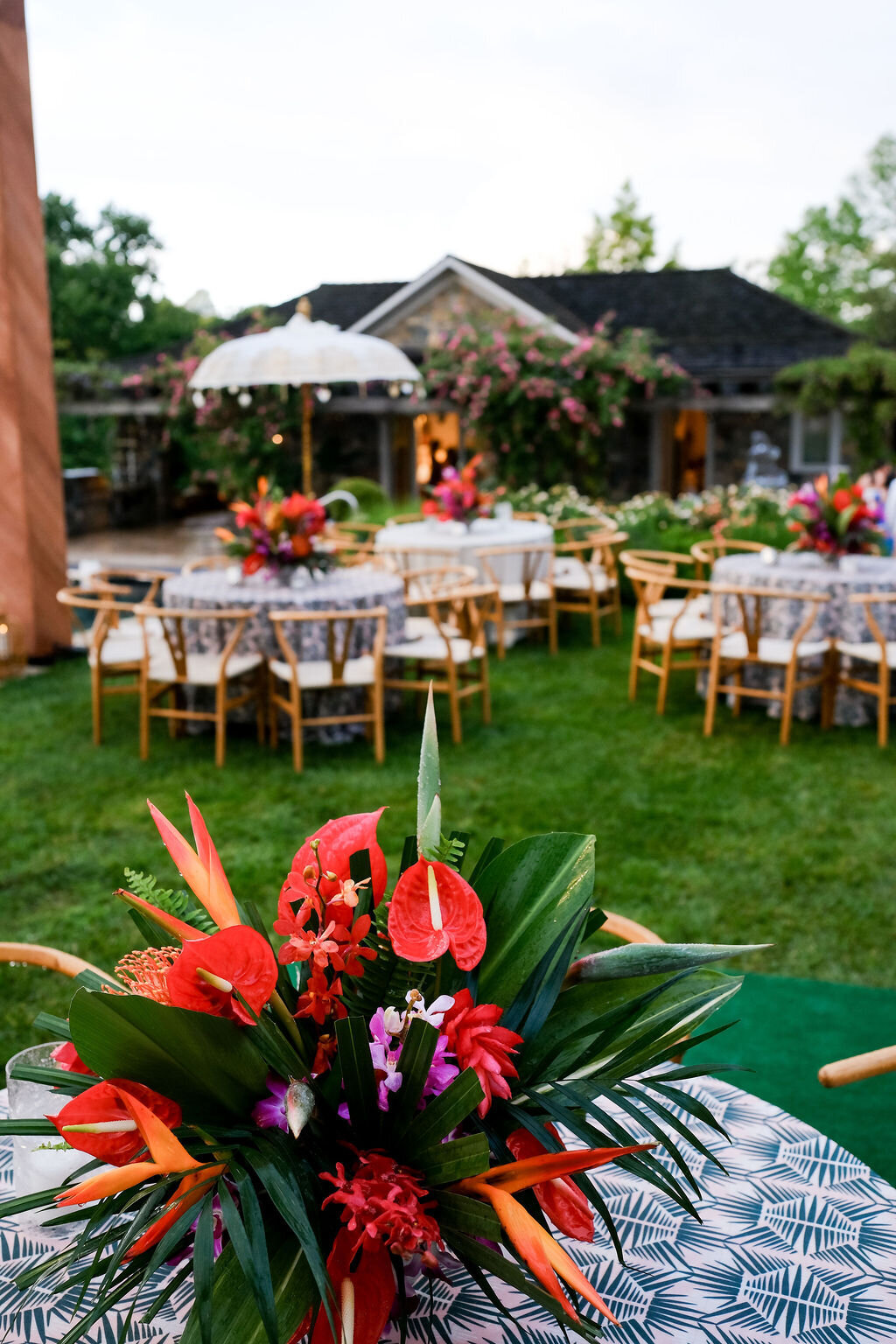 bali lawn