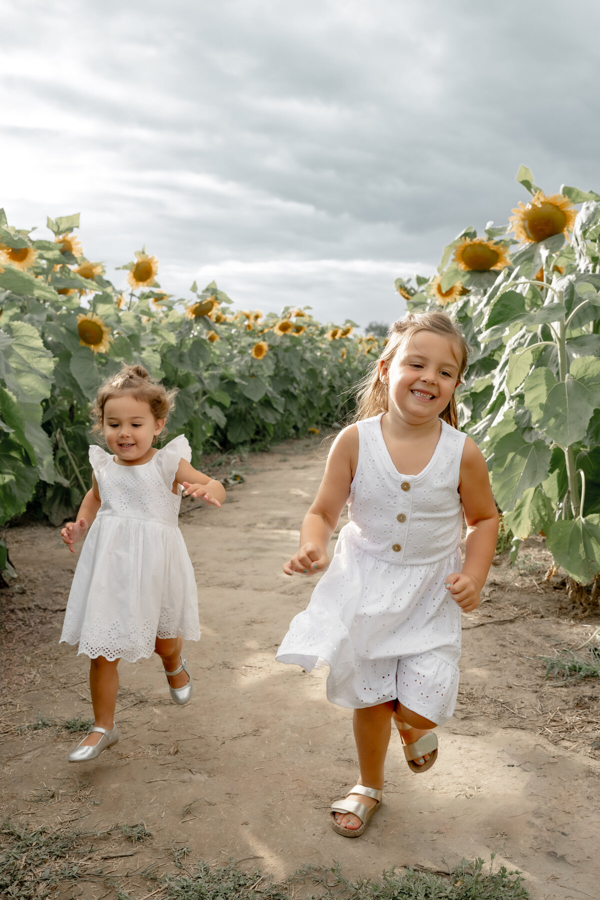 Sunflower Minis - Nadine-15