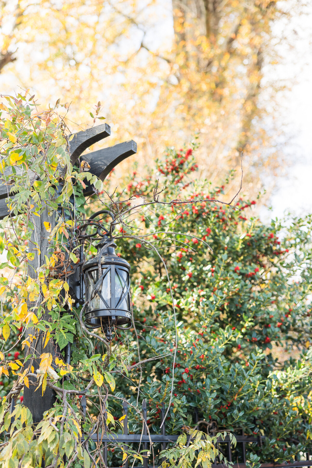 111925_GARDENVENUE_WEBSITEPHOTOS-76