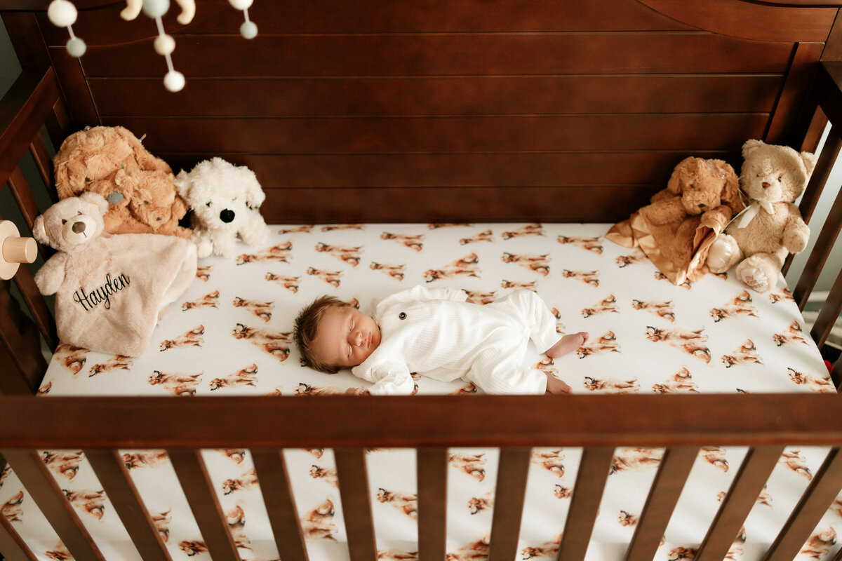 annieharperphotography-HNnewborn-13