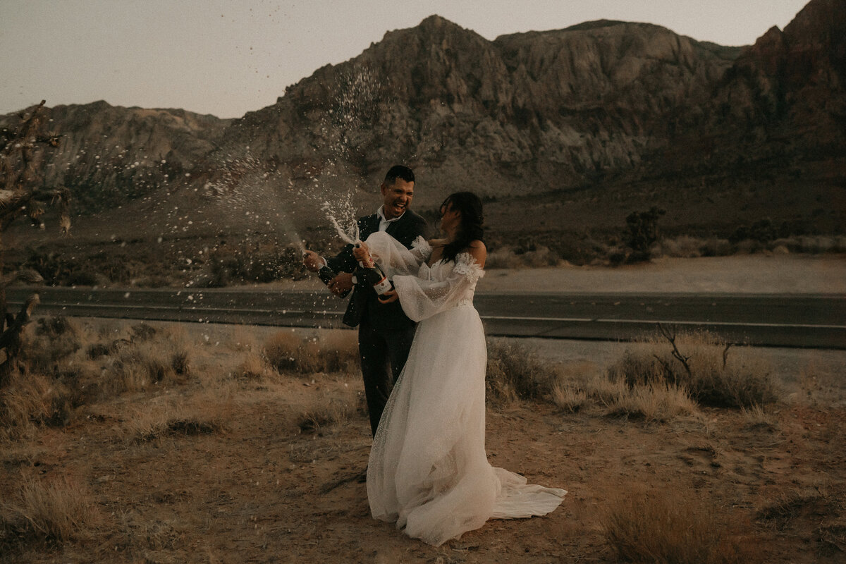 Las-Vegas-Elopement-120