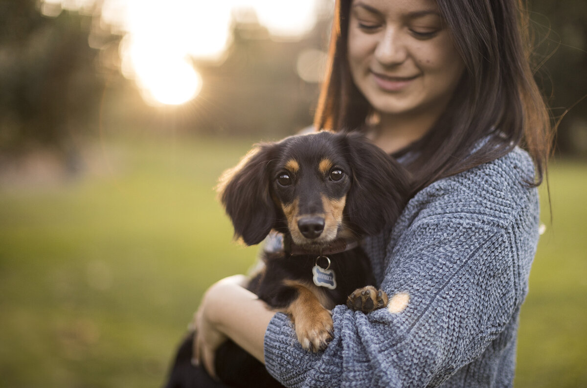 best pet photography 1 copy